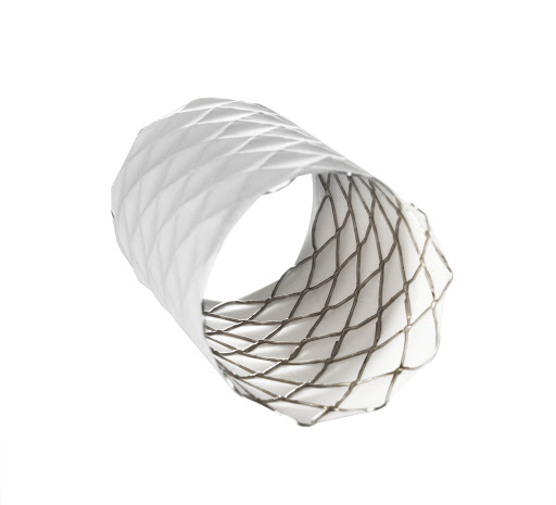 DeviceMD - CP Stent™