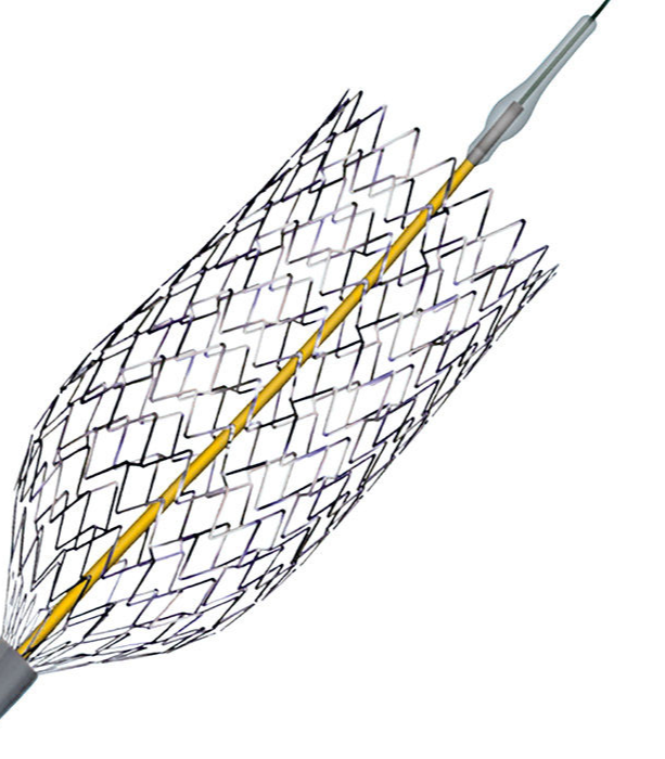 DeviceMD - PRECISE PRO RX® Carotid Stent System