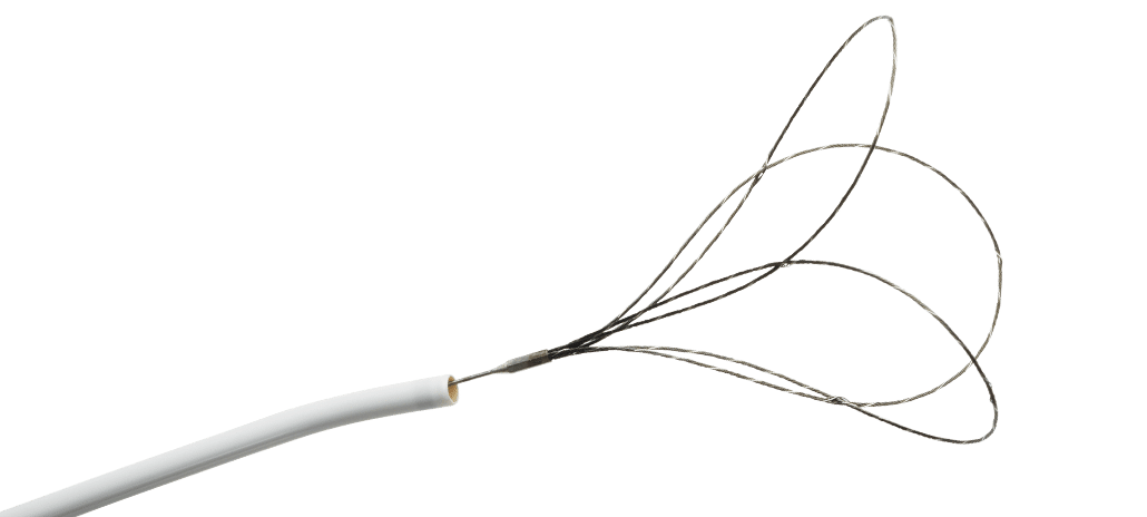 DeviceMD - EN Snare® Endovascular Snare System